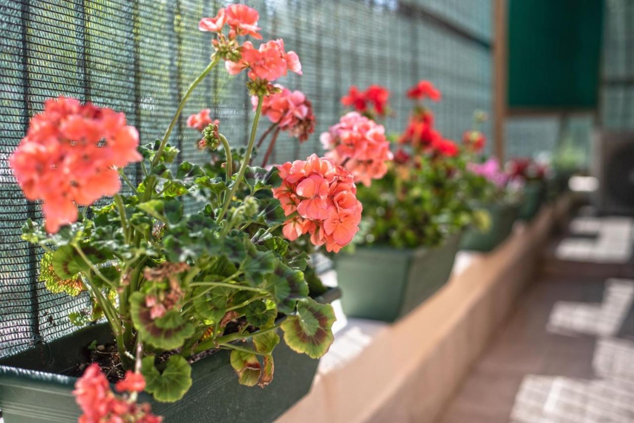 罗马Garden House Vale公寓 外观 照片